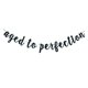 thumbnail image 5 of Guirnalda Guysckfi "Aged to Perfection" para Fiesta de Cumpleaños, 5 of 5
