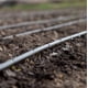 thumbnail image 5 of Línea de goteo Dripline One Stop Outdoor fabricada en EE. UU. de 1/4'' con separación entre emisores, 5 of 5