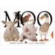 thumbnail image 1 of Libro Moo De, 1 of 1