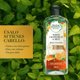 thumbnail image 3 of Shampoo Herbal Essences Renew White Grapefruit & Mint, 400 ml, 3 of 5