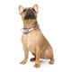 thumbnail image 2 of Collar Fuzzyard para perros THE HIVE M (32-50 cm), 2 of 2