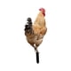 thumbnail image 3 of Estacas De Estatua De Animales De Pollo Decorativas Acrílicas Para Decoración De Patio Trasero Estilo A, 3 of 3