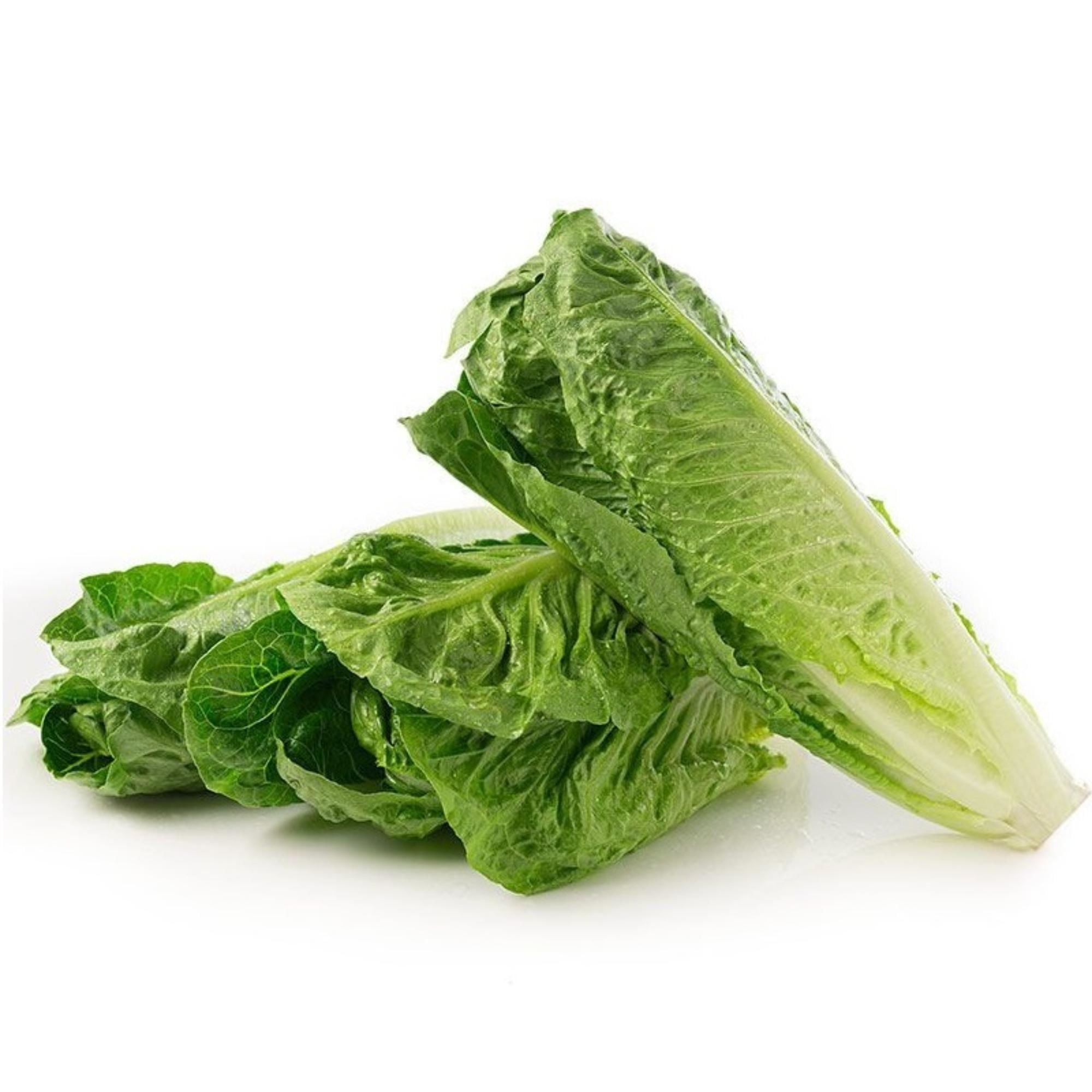 Lechuga 3 Corazones De Costina Bolsa 1 Un