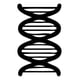 thumbnail image 1 of Decomural Dna Symbol Biology Science WS-34586, 1 of 2