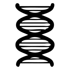 Rienda Libre Graphics - Decomural Dna Symbol Biology Science Ws-34586