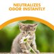 thumbnail image 4 of Arena para gatos Feline Pine Original de 3,18 kg, potente control de olores, 4 of 9