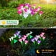 thumbnail image 5 of Luces Solares Para Jardín Exterior Paquete De 6 Con 24 Flores De Lirio, 5 of 7
