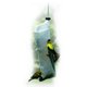 thumbnail image 1 of Calcetín Wildlife Feeder Woodlink NASOCK Audubon Thistle de 11 pulgadas, 1 of 2
