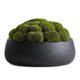 thumbnail image 4 of Maceta Olly & Rose 29 cm Cuenco Cerámico Negro Mate, 4 of 6