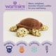 thumbnail image 2 of Plush Turtle Warmies se puede calentar en microondas con aroma a lavanda francesa, 2 of 6