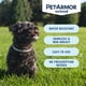 thumbnail image 5 of Collar antipulgas y antigarrapatas para perros PetArmor Extend, perros pequeños, 8 meses, 5 of 8
