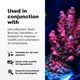thumbnail image 3 of Tratamiento de agua para acuarios Brightwell Aquatics NeoPhos 250 ml, 3 of 7