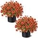 thumbnail image 1 of Plantas Artificiales GLIDLION Campanula de 17 pulgadas, 2 unidades, 1 of 3