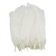 thumbnail image 1 of 50 piezas de plumas de ganso natural decoración 12-20cm DIY Jewelry Making White, 1 of 5