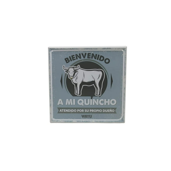 Cuadro Deco Beer