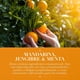 thumbnail image 5 of Acondicionador Herbal Essences Mandarina, Jengibre y Menta, 400 ML, 5 of 6