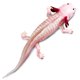 thumbnail image 3 of Figura Safari Ltd., modelo Axolotl Realistic 7 para niños a partir de 3 años, 3 of 5