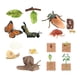 thumbnail image 2 of Juguetes De Aprendizaje Del Ciclo De Vida Preescolar Para Contar Historias Regalos De Cumpleaños Juego De Rol Estilo C, 2 of 3