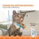 thumbnail image 2 of El juguete para masticar Catnip Dental Catnip Catnip, toneladas de colas, 2 of 9