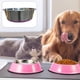 thumbnail image 4 of Cuenco para perros de acero inoxidable antideslizante y antivuelco., 4 of 5