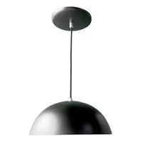 Genérico - Lámpara Colgante Techo Moderna Media Esfera Negro Jhn