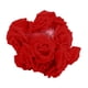 thumbnail image 5 of Guirnalda De Luces LED Con Flores De Rosas, Decoraciones Románticas Para Jardín, Ventana, Boda, Rojo, 5 of 5