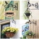 thumbnail image 3 of 2 Ganchos De Pared Para Colgar Plantas En Macetas, 3 of 6