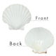 thumbnail image 2 of Conchas de vieira SEAJIAYI, 10 unidades, 11 — 13 cm, conchas marinas para hornear, 2 of 8