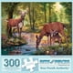 thumbnail image 1 of Rompecabezas Bits and Pieces "Woodland Stream" 300 piezas 46 × 61 cm, 1 of 9
