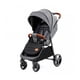 thumbnail image 1 of Coche Grande Plus Gris, 1 of 3