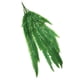 thumbnail image 1 of Arte De La Pared De La Planta Del Helecho Artificial Que Cuelga La Hoja Plástica Del Helecho De La Rota Persa, 1 of 3