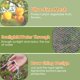 thumbnail image 2 of Cubierta para plantas Ruolan, malla para jardín 3 piezas, 98 x 150 cm, 2 of 7