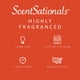 thumbnail image 4 of Wax Melts Scentsationals, aroma a naranja fundida, 300 ml (24 cubos), 4 of 7