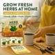 thumbnail image 5 of Kit de macetas para huerto de hierbas de interior HOME GROWN con 4 semillas de hierbas, 5 of 8