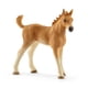 thumbnail image 5 of Set de juego con figuras de cuidado de animales Schleich Horse Club 42432, 5 of 8