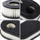 thumbnail image 3 of 2 filtros de aire para cortacésped Briggs & Stratton 550E-550EX (798452 y 593260), 3 of 5