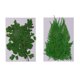 thumbnail image 5 of 18 Piezas De Hojas De Helecho Prensado Flores Secas Naturales DIY Scrapbooking Artesanías, 5 of 5