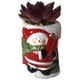 thumbnail image 1 of Suculenta Roja Figura Hombre Nieve, 1 of 4