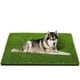 thumbnail image 1 of Alfombrilla de césped artificial CooZero Professional Dog Poder Training, 1 of 7