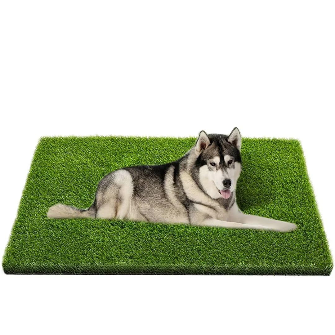Alfombrilla De Césped Artificial Coozero Professional Dog Poder Training