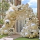 thumbnail image 2 of Kit de arco de globos feilebalon blanco perla y negro con lazo, 2 of 8