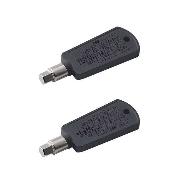 LOCK Cluksik Llave para Mini Nevera 5,8 x 6 mm Pack de 2