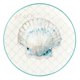 thumbnail image 2 of Platos llanos Certified International Ocean View 28 cm juego de 4, 2 of 6