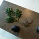 thumbnail image 1 of Ficus verde, rama decorativa de 65 cm, 1 of 2