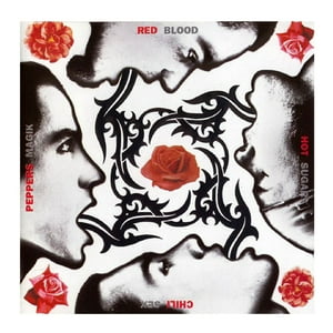 Grupo Laser Disc - Vinilo Red Hot Chili Peppers/ Blood Sugar Sex Magik + Libro 2Lp