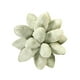thumbnail image 5 of Throw Pillow Cojines Decorativos Para Dormir Cojines Divertidos Lovely Universal Para Sofá Verde, 5 of 5