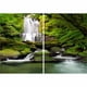 thumbnail image 1 of Cuadro paisaje "Verde Húmedo", 1 of 3