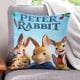thumbnail image 1 of Peter Rabbit Fundas de almohada de terciopelo con tema, regalos de funda de almohada, decoración para el hogar, cojín de lanzar, regalo de cumpleaños para fans y parejas.61*61cm., 1 of 6