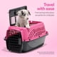 thumbnail image 3 of Transportadora para Perros Petmate XS 48 cm Plástico Rosa con Dos Puertas, 3 of 6