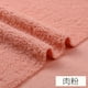 thumbnail image 1 of Tela de Peluche Rosa de Un Solo Lado 1 Pieza 39.37 X 62.99 Pulgadas, 1 of 3